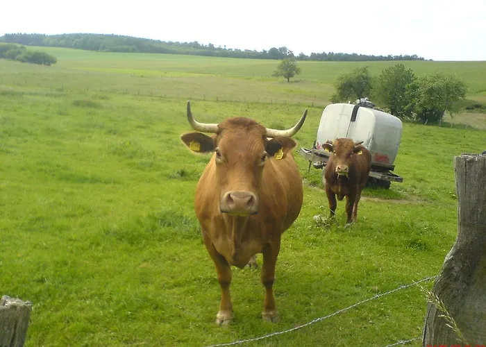 Сasa de vacaciones Jolanta-ferienwohnung An Der A3 *